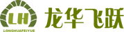 龍華飛躍