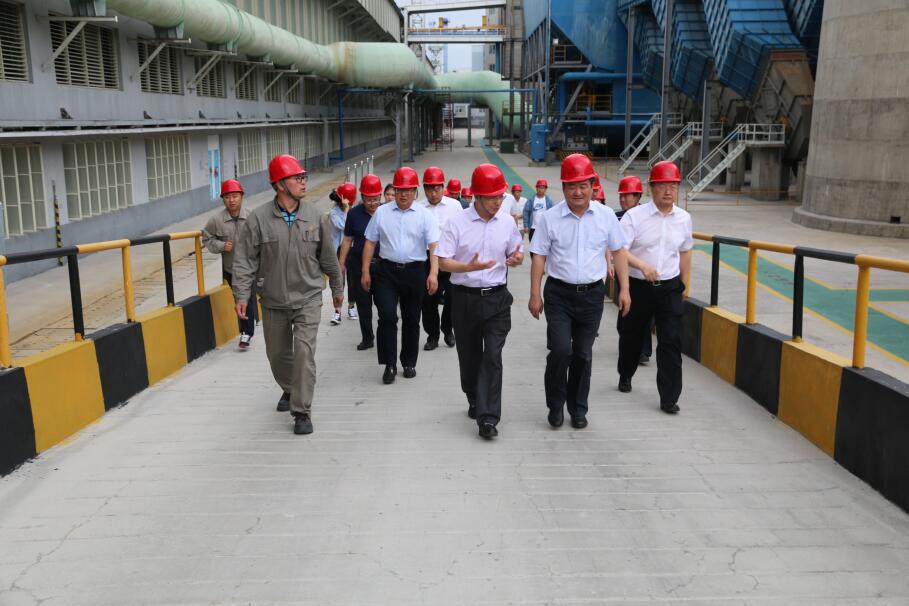 1501494716167214.jpg 1.jpg