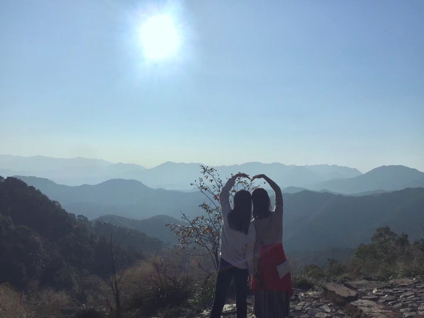 1542005239763069.jpg 風景2.jpg