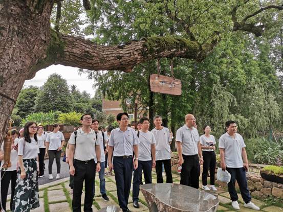 1562145917423507.jpg image004.jpg