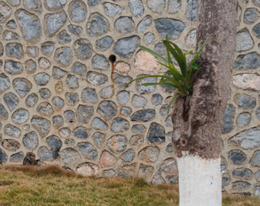 1617269844695527.jpg 3.jpg