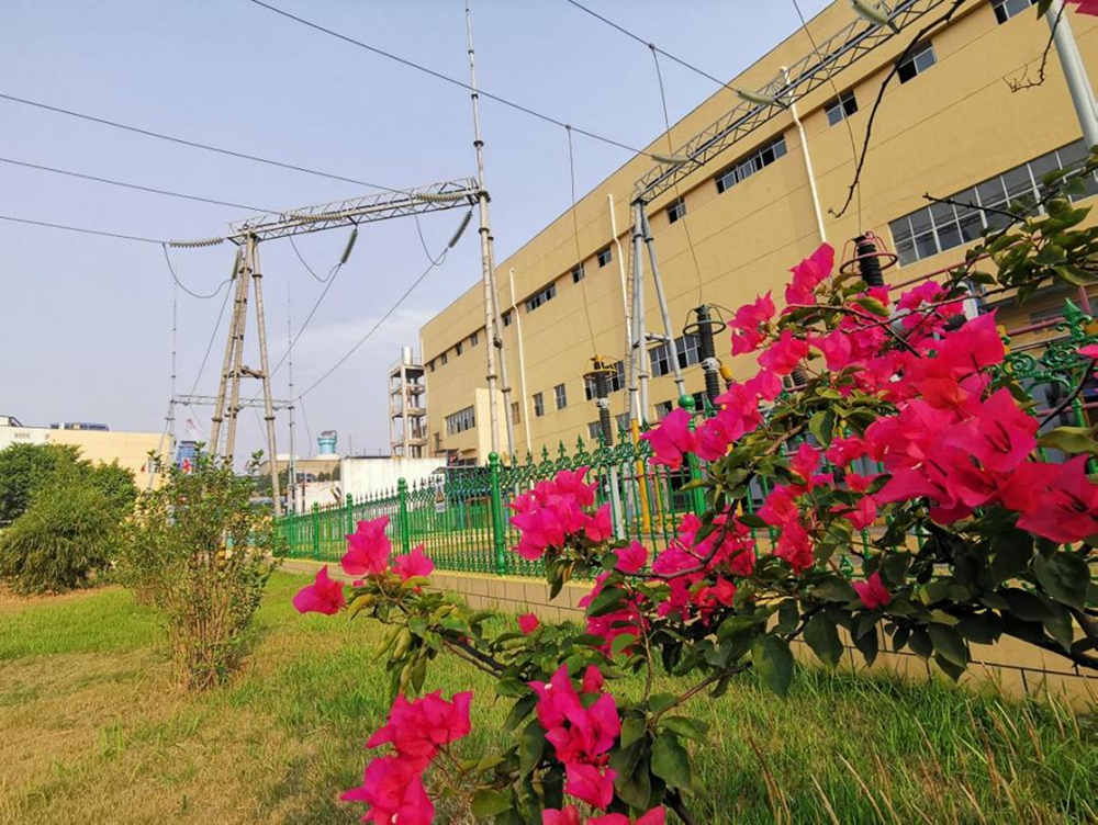 1617270602627160.jpg 10.jpg