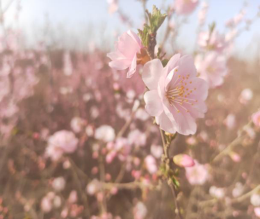 1617271254905641.png 24.png