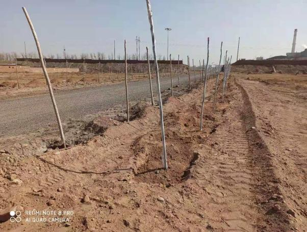 1617271403721510.png 27.png