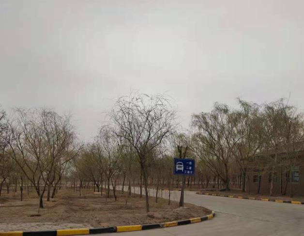 1617271472331043.png 30.png