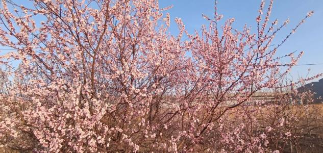 1617271718118541.png 34.png