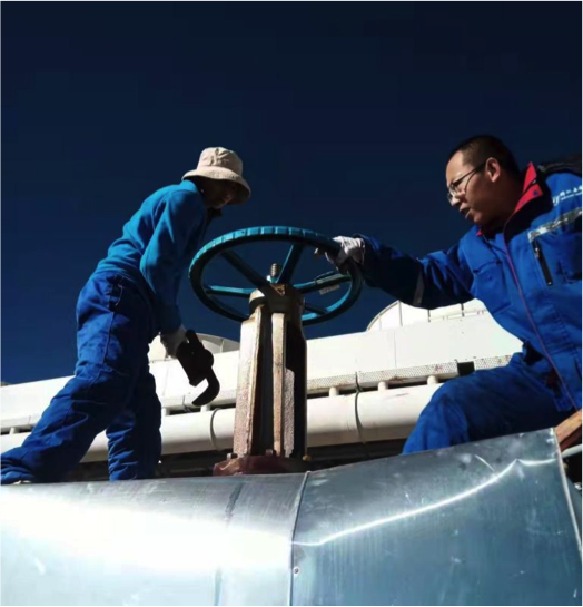 1643267795497248.png 羊易2.png